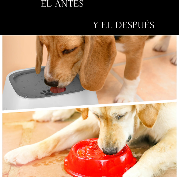 Bebedero Antigoteo – Agua Limpia y Sin Salpicaduras para tu Mascota